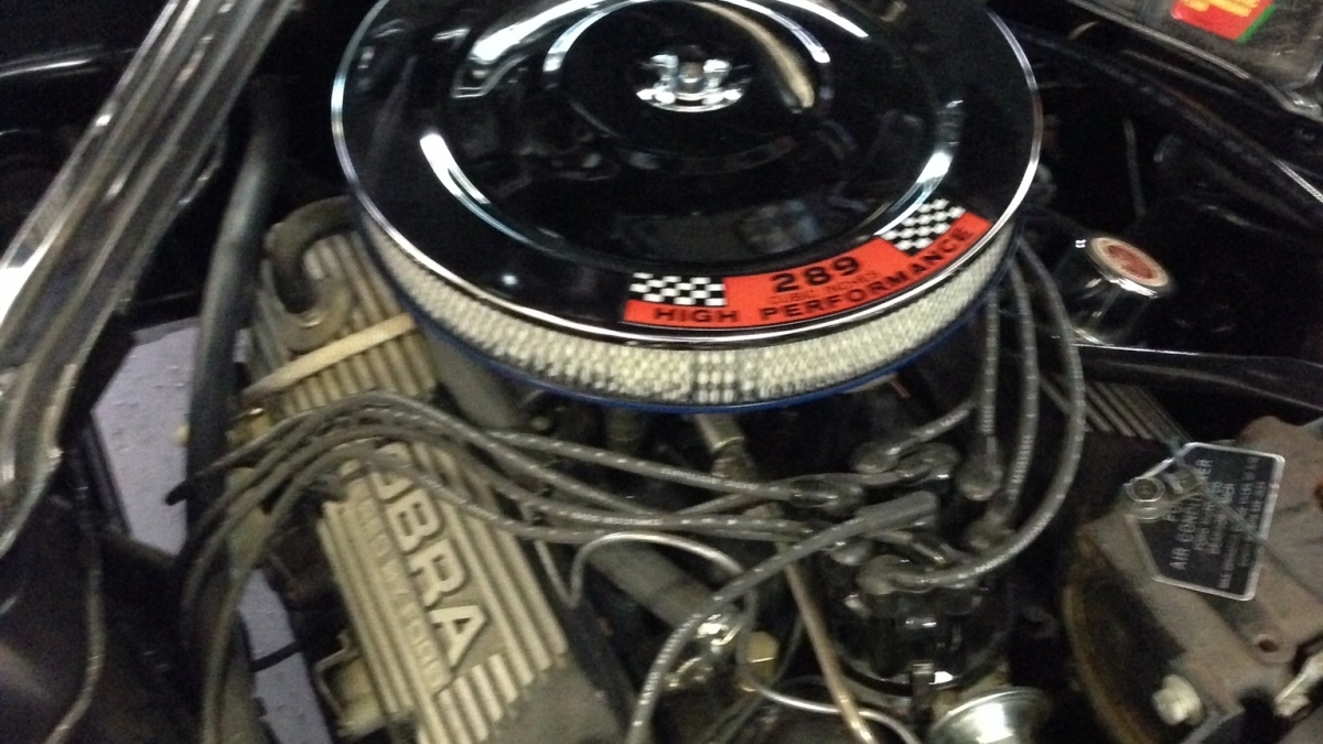 1964 Ford Mustang in Mesa 3