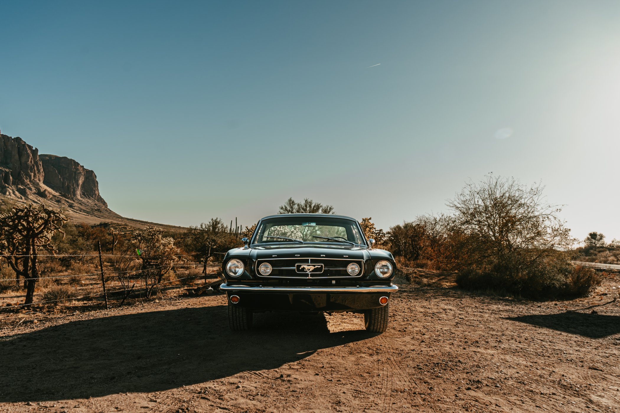 1964 Ford Mustang in Mesa