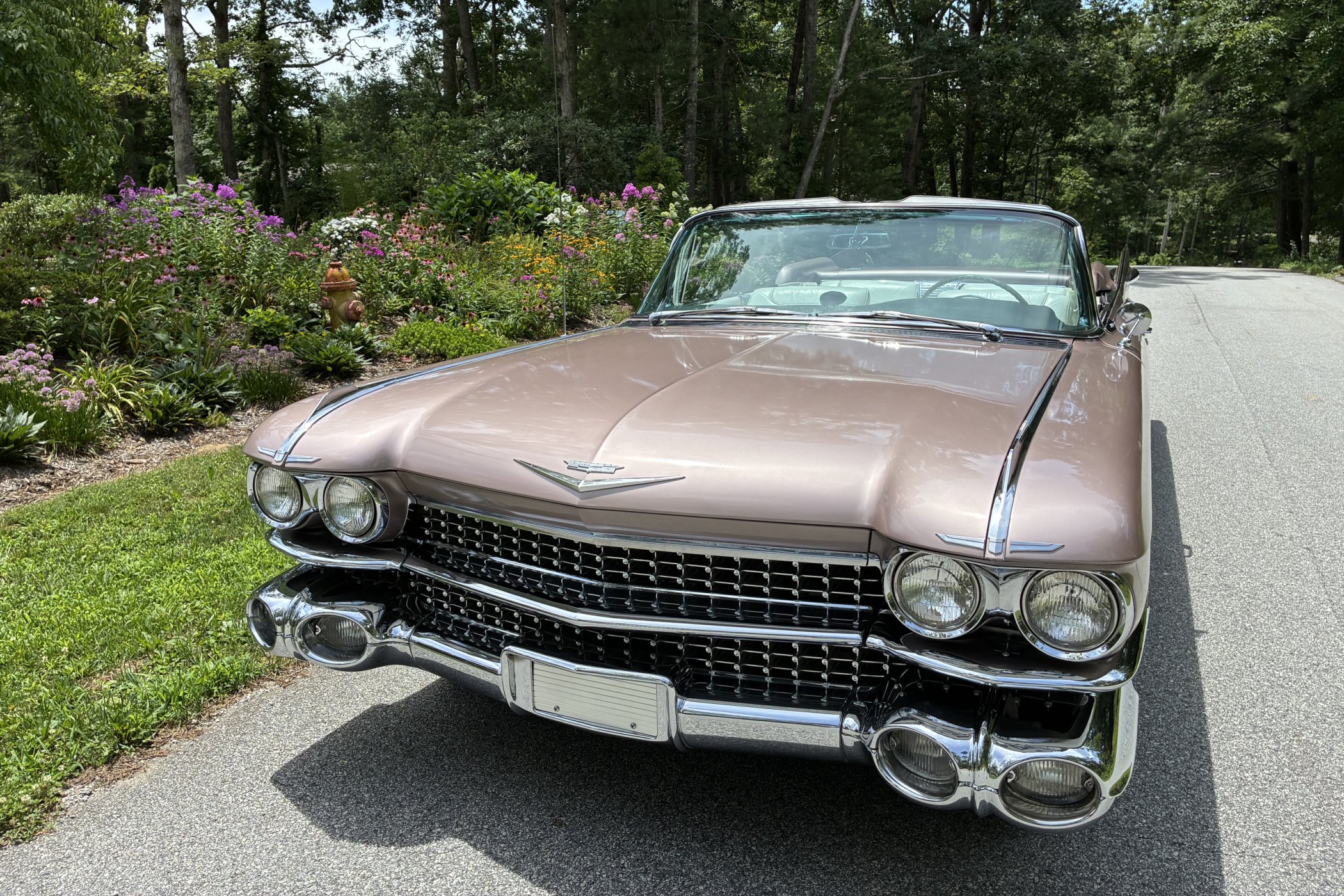 1959 Cadillac Eldorado in Asheville 5