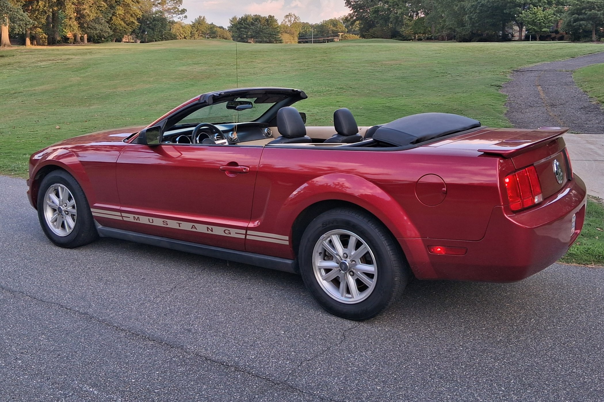 2007 Ford Mustang in Shelby 5