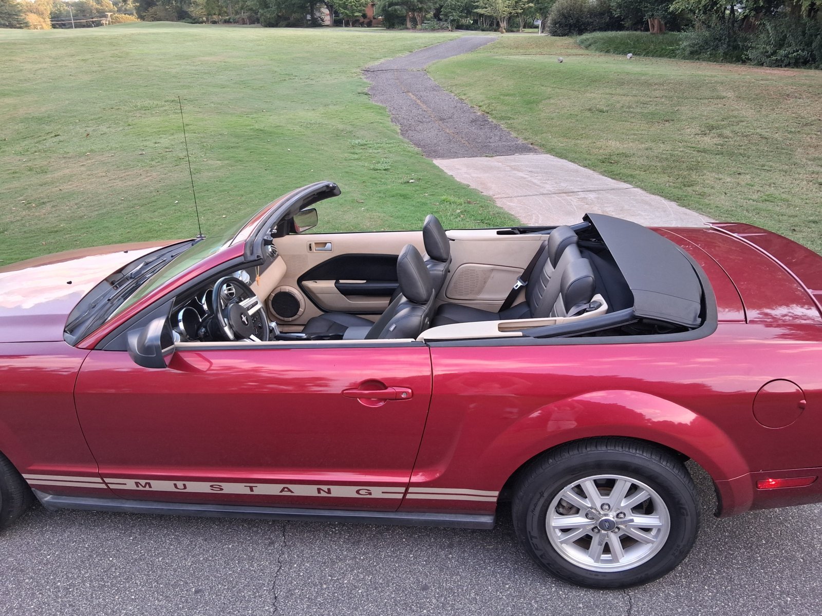 2007 Ford Mustang in Shelby 6
