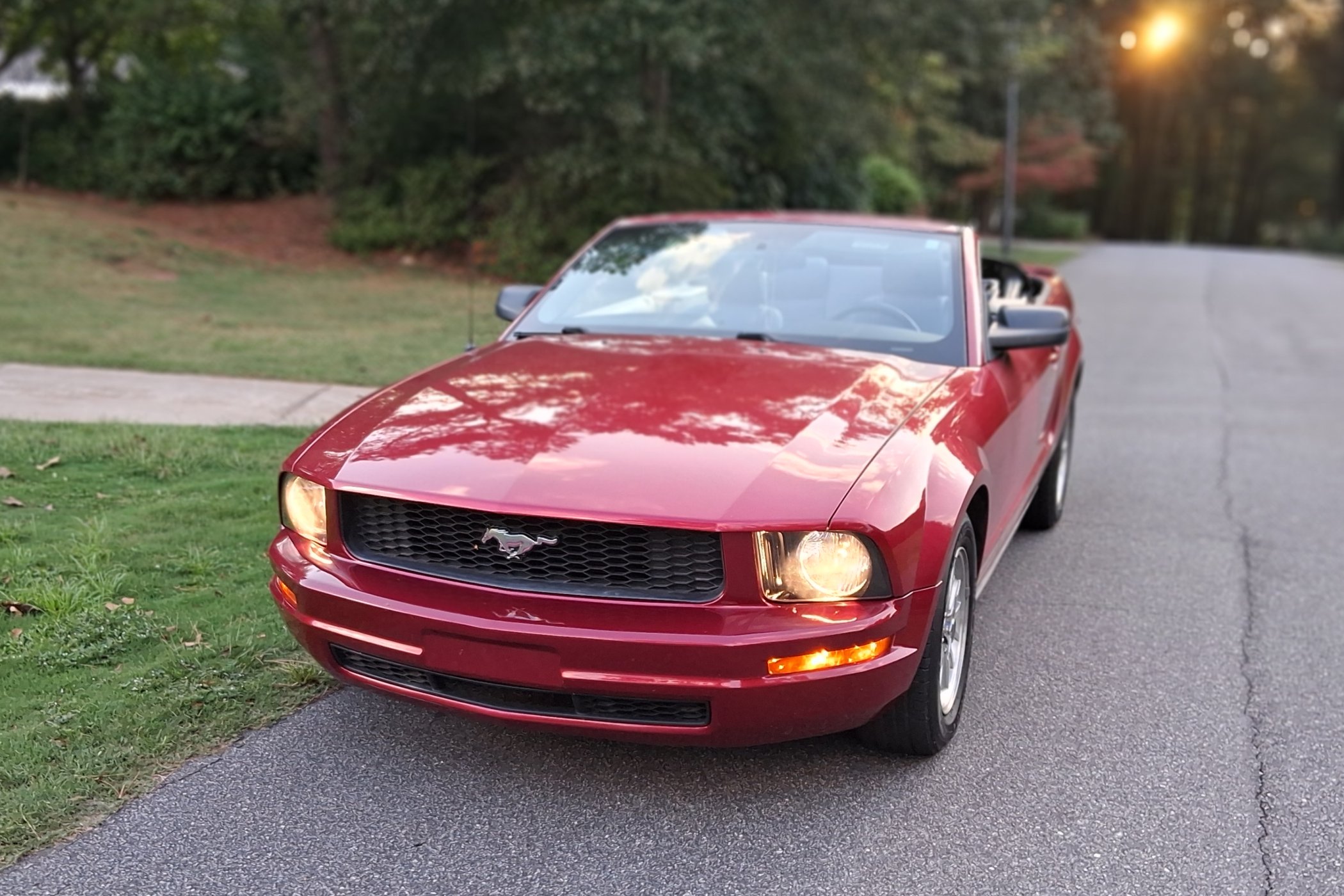 2007 Ford Mustang in Shelby 8