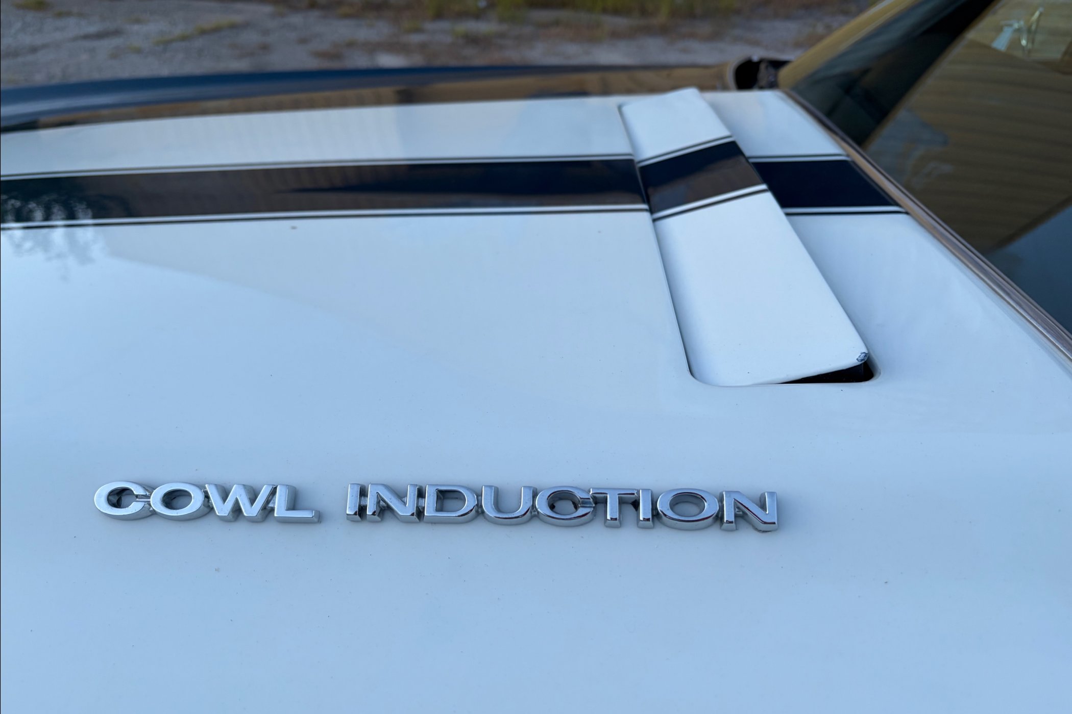 1970 Chevrolet El Camino in New Orleans 6