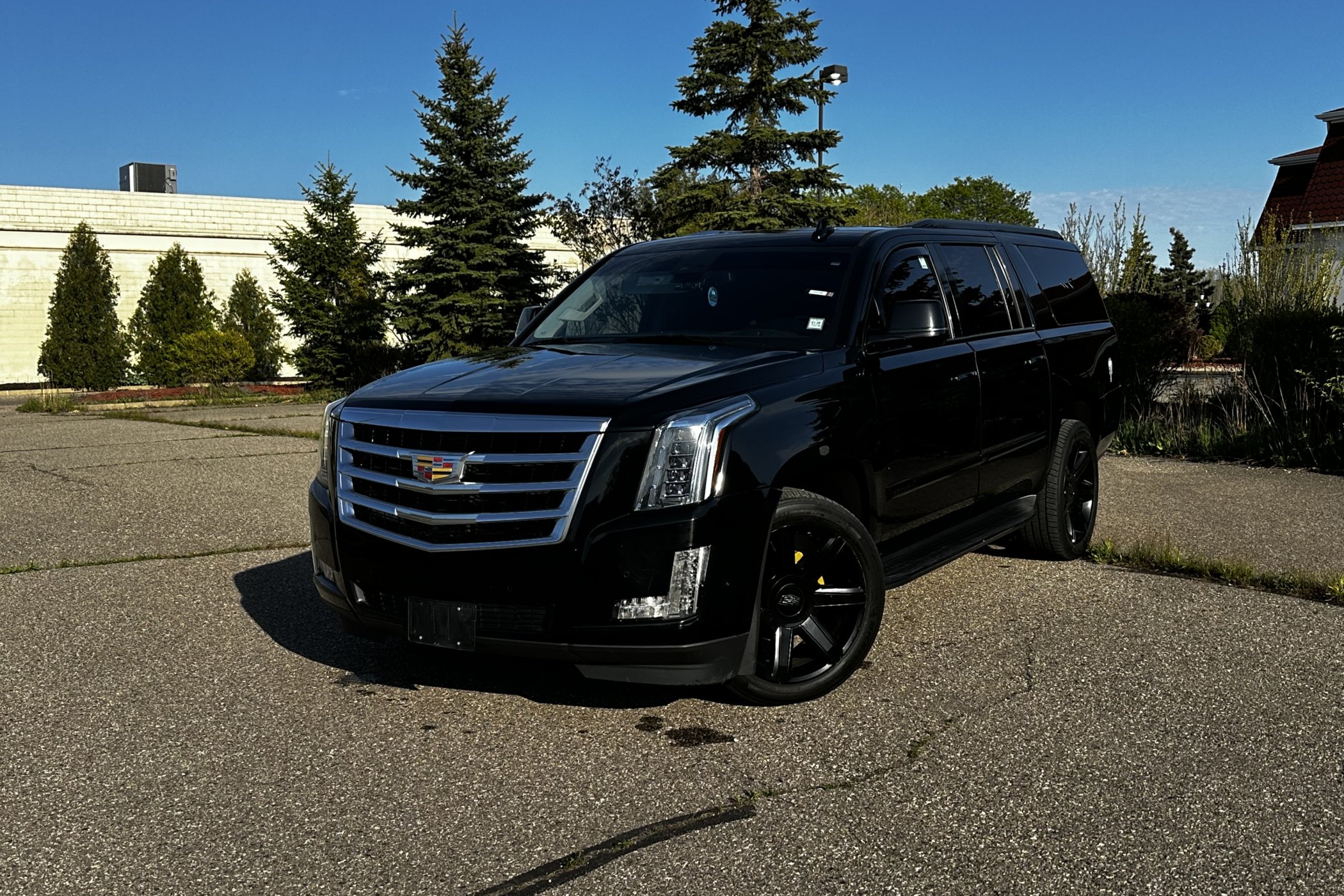 2019 Cadillac Escalade ESV in Sterling Heights