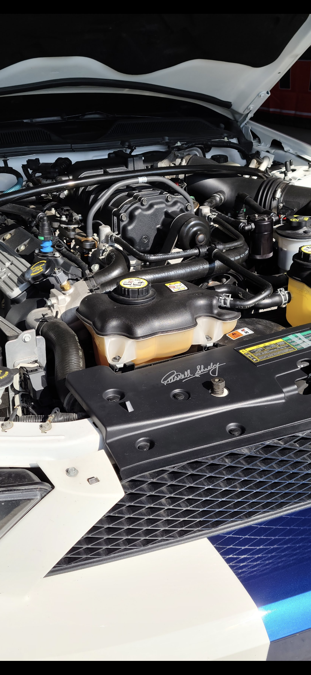 2007 Ford Mustang in Homer Township 6