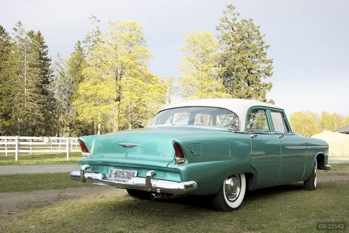1955 Plymouth Savoy in Oslo 3