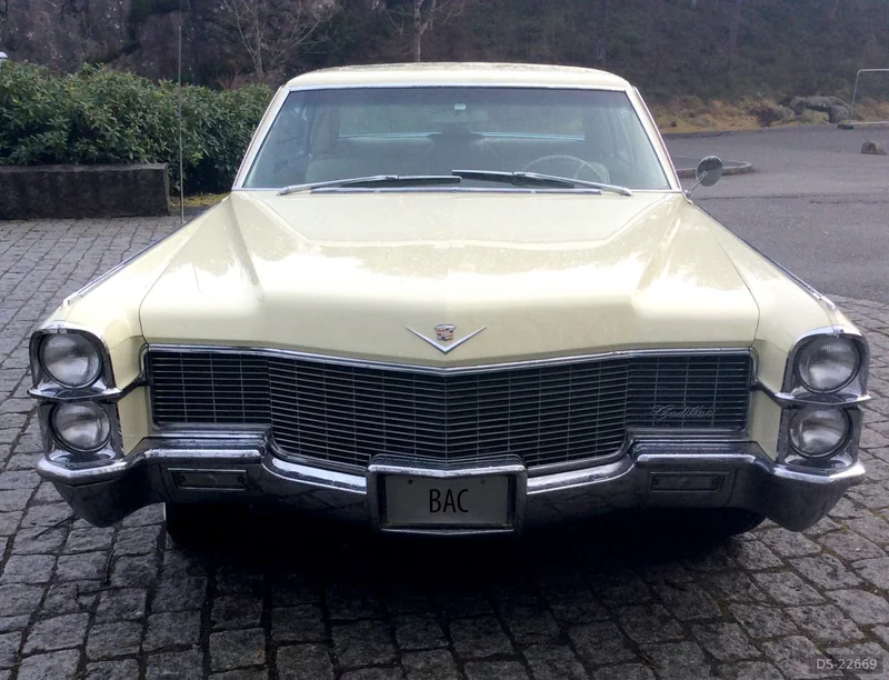 1965 Cadillac Coupe De Ville in Bergen 2