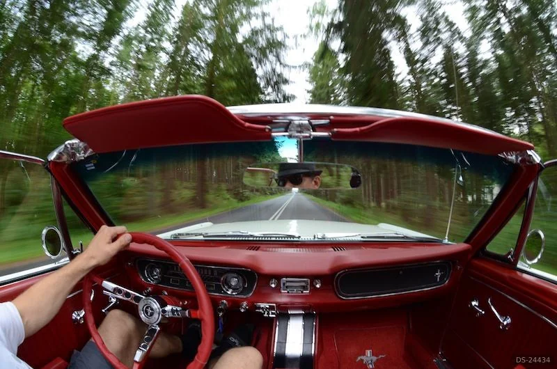 1964 Ford Mustang, V8, 5,0 l, 210 HK in Silkeborg 3