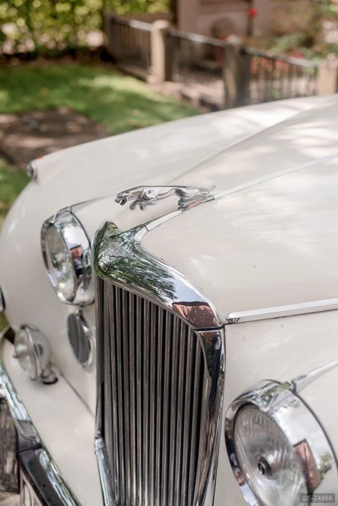 1958 Jaguar MK VIII - 3,8L in Odense 3