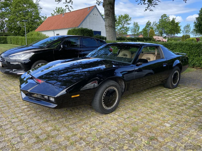 1984 Pontiac Trans Am, 5,0L in Hjørring 2