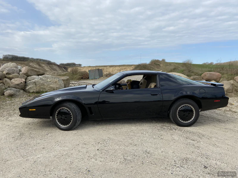 1984 Pontiac Trans Am, 5,0L in Hjørring 9