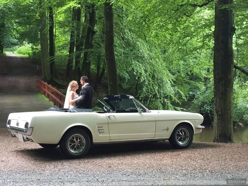 1966 Ford Mustang in Kolding 2