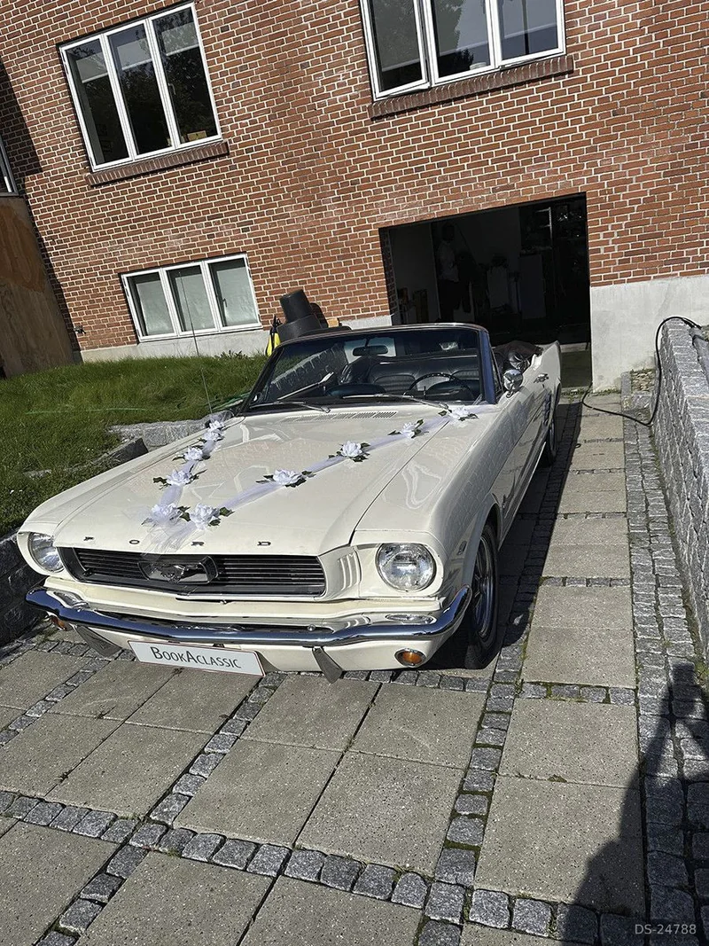 1966 Ford Mustang in Kolding 5