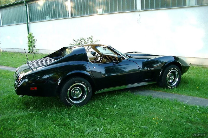 1976 Chevrolet Corvette Stingray in Wien 2