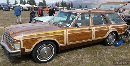 1978 Chrysler Le Baron Woodie in Dunedin 1
