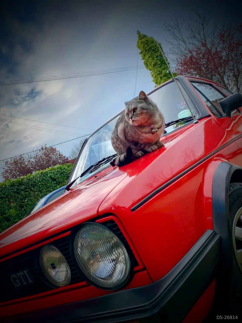 1982 Volkswagen Golf GTI in Romsey 6