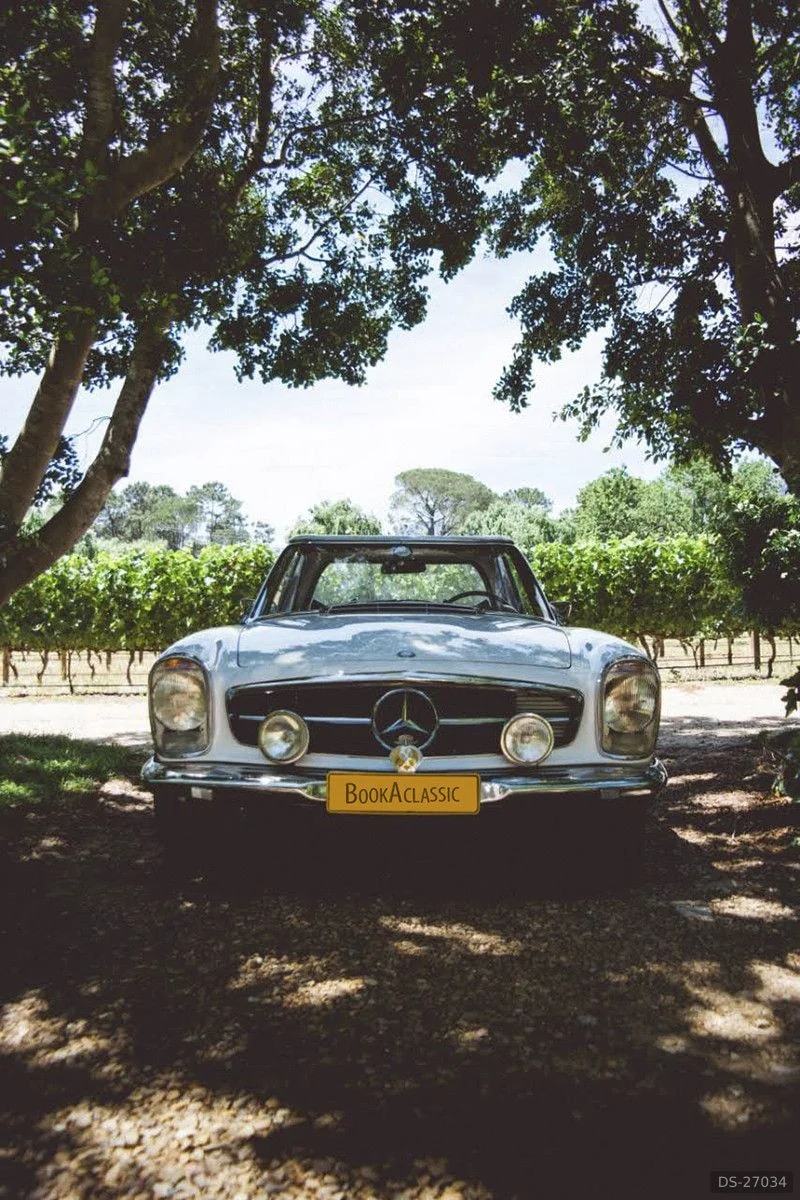 1969 Mercedes-Benz 280SL Pagoda in Groot Drakenstein 8