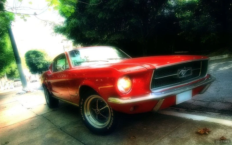 1967 Ford Mustang Fastback in S Paulo 3