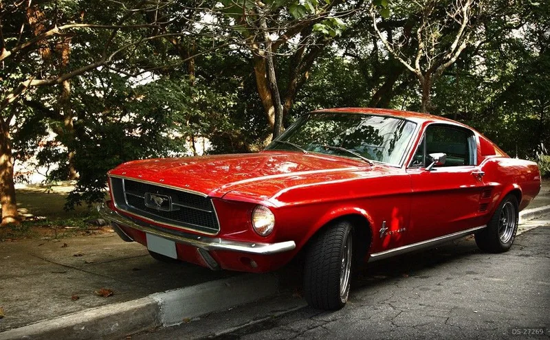 1967 Ford Mustang Fastback in S Paulo 4