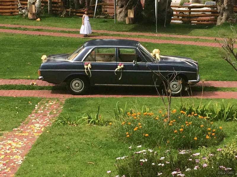 1973 Mercedes-Benz 280