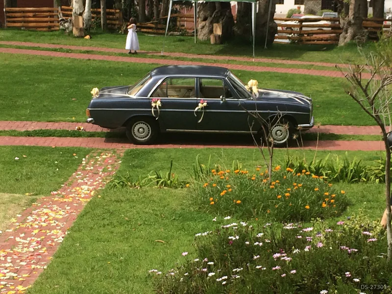 1973 Mercedes-Benz 280 in Riobamba 2