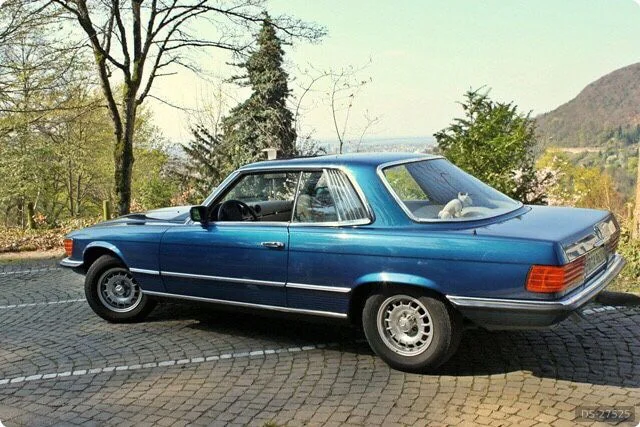 1975 Mercedes-Benz 280SLC in Heidelberg 2