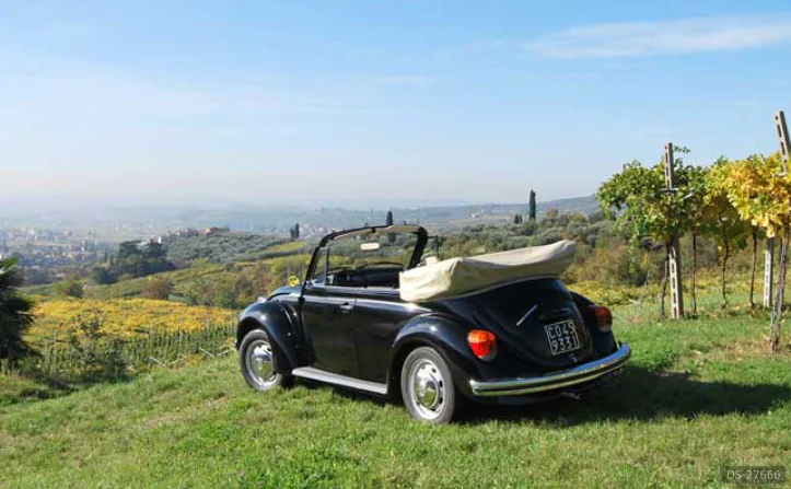 1973 Volkswagen Maggiolone Cabrio in Arbizzano-Santa Maria 7