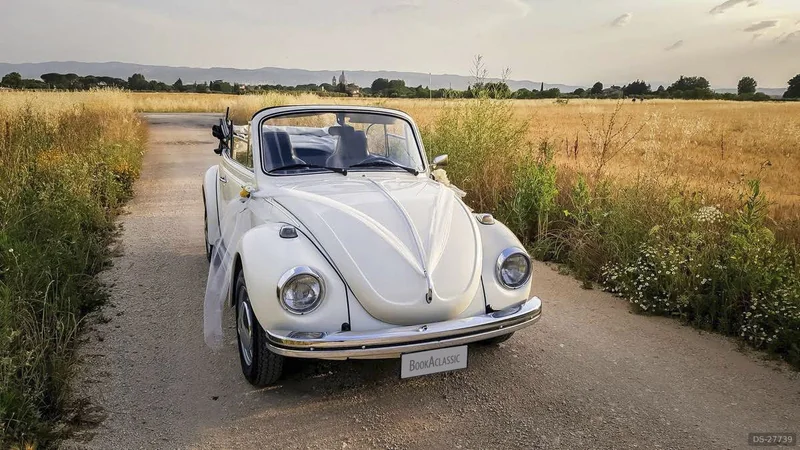 1972 Volkswagen Maggiolino in Perugia 6