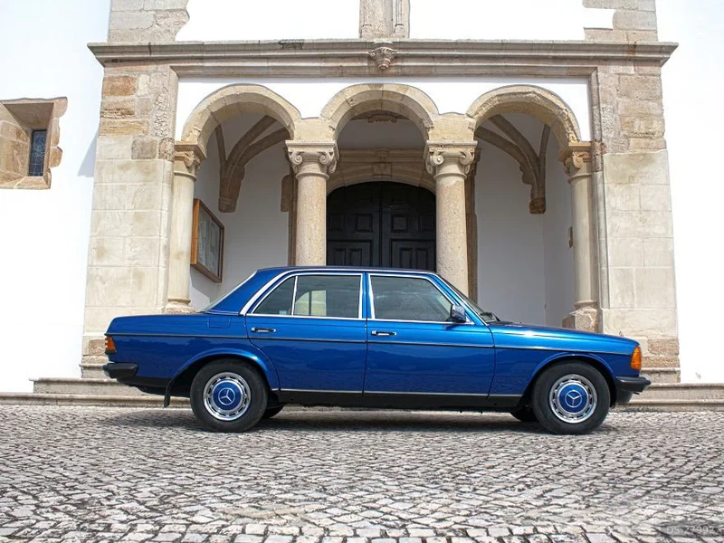 1976 Mercedes-Benz 300 D in Alcochete 2