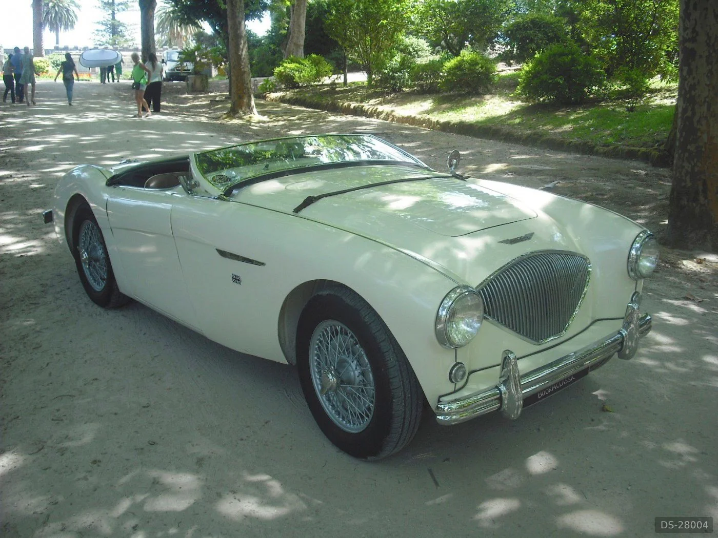 1955 Austin-Healey 100