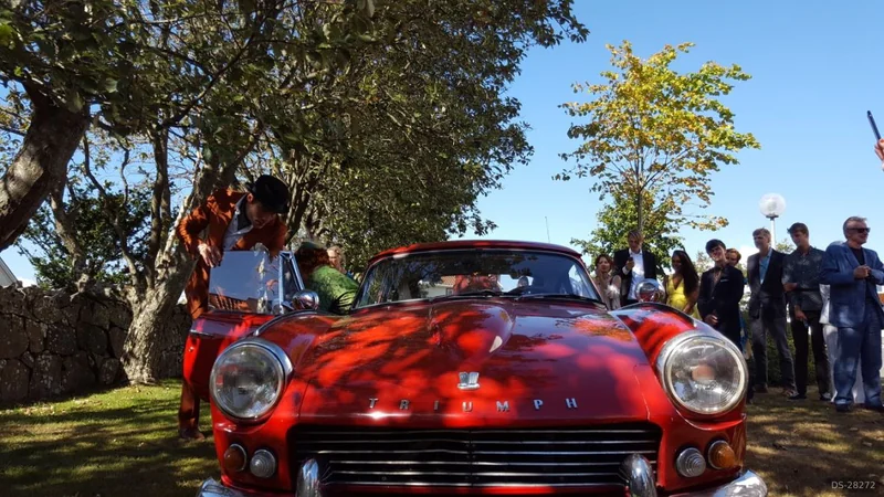 1967 Triumph GT 6 in Stockholm 5