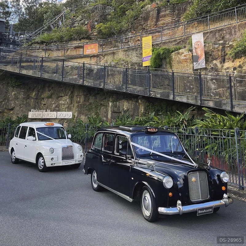 1970 Austin Fx4 London Taxi in Sydney 4