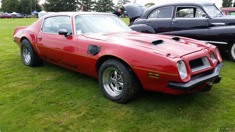 1974 Pontiac Firebird in Nightcaps 2