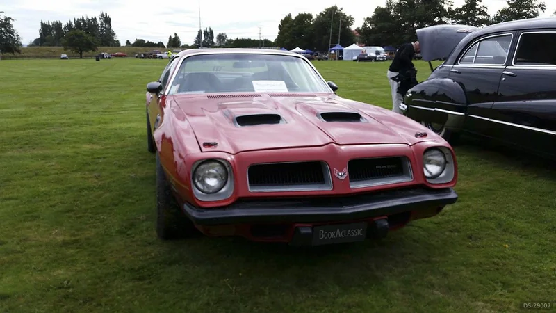 1974 Pontiac Firebird in Nightcaps 1