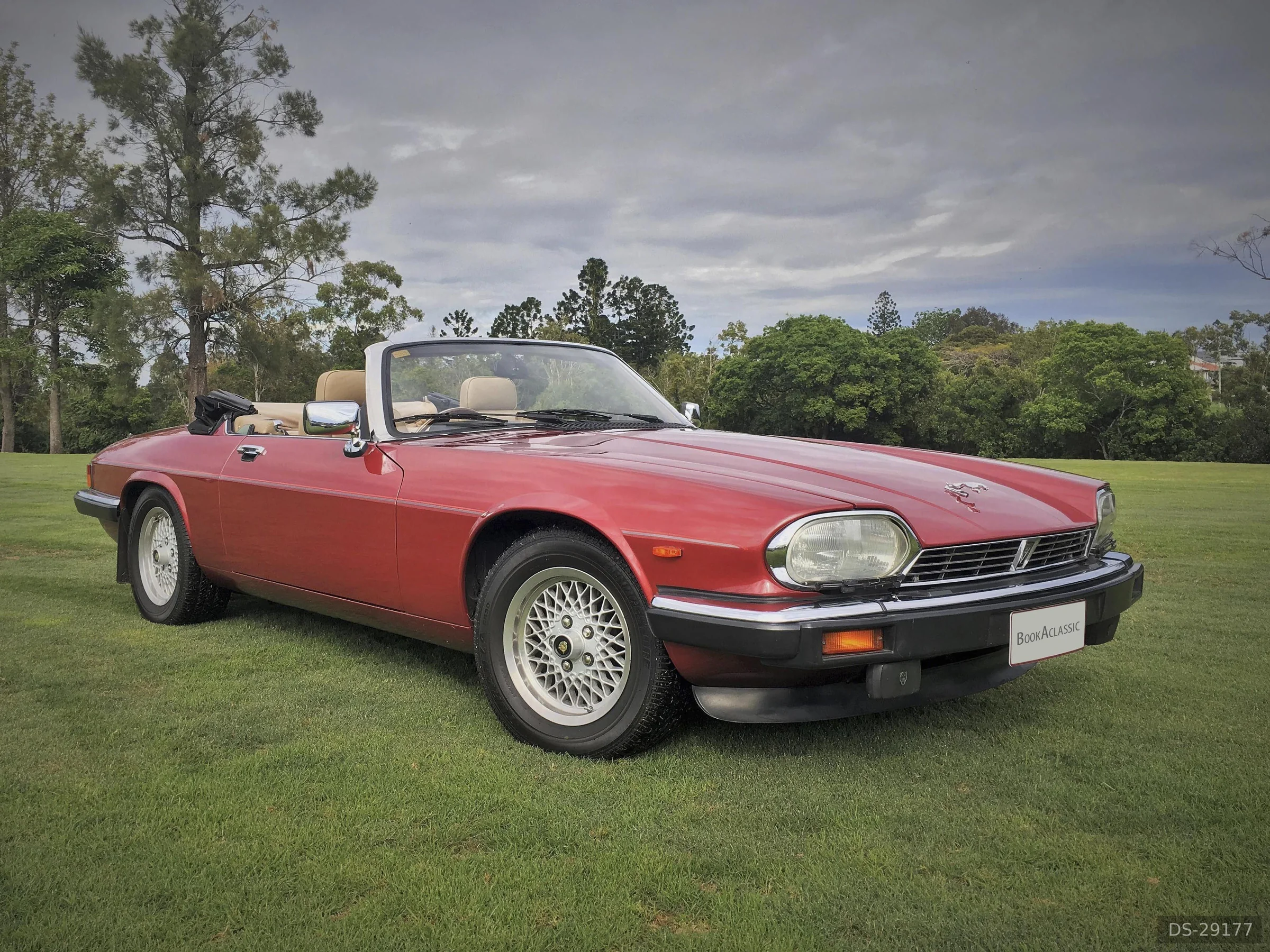 1988 Jaguar Xjs V12