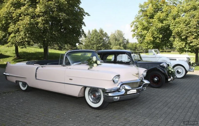 1956 Cadillac Pink Convertible in Altenrhein 2