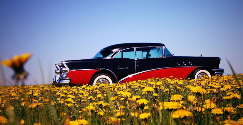 1955 Buick Special in Slagelse 4