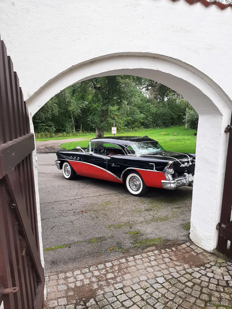 1955 Buick Special in Slagelse 2
