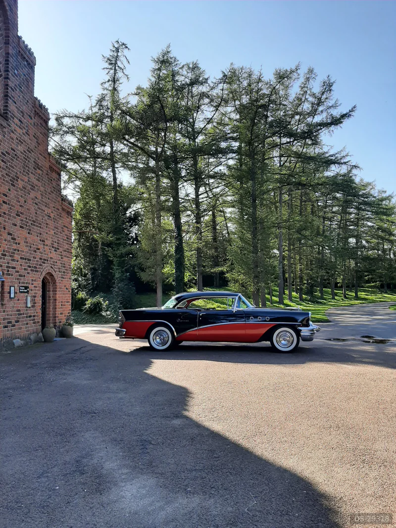 1955 Buick Special in Slagelse 5