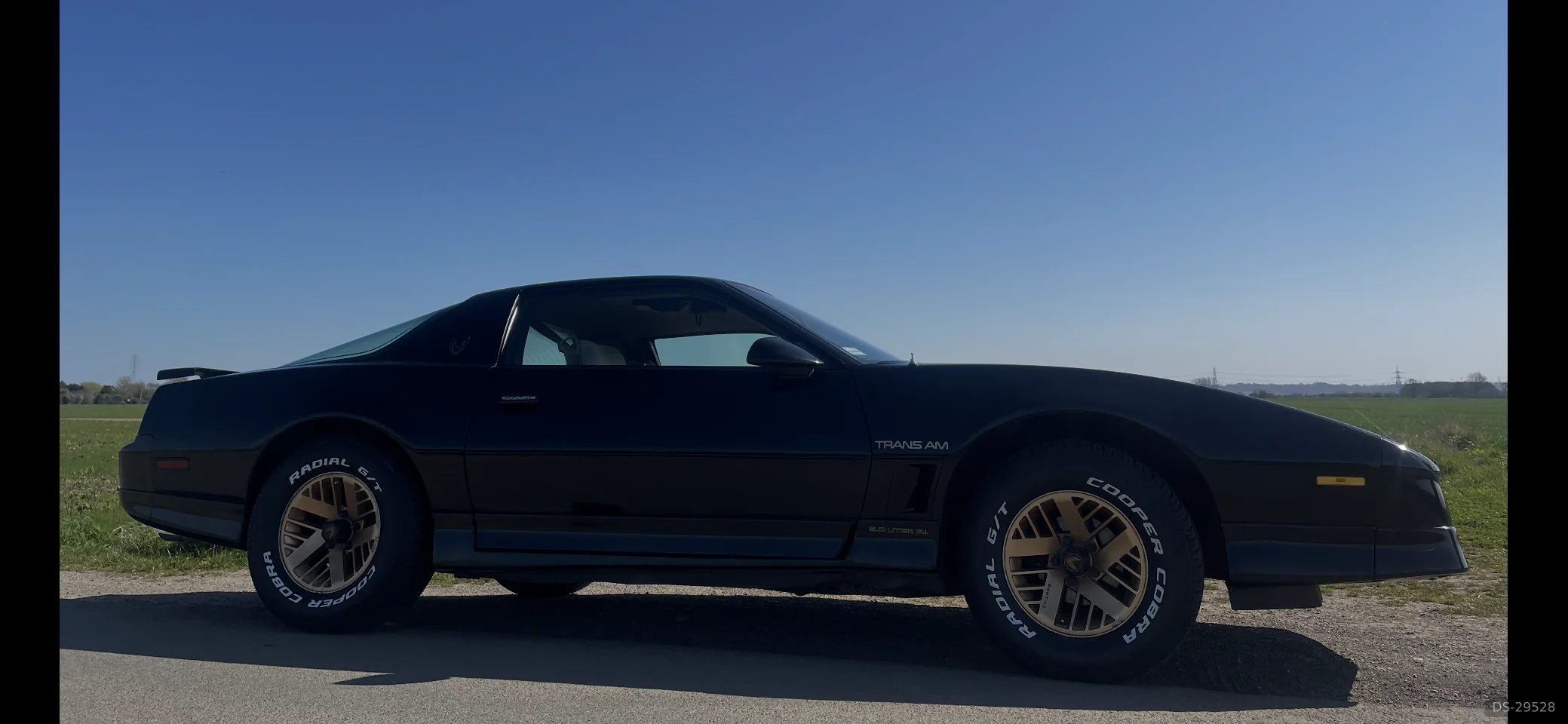 1985 Pontiac Firebird Trans AM