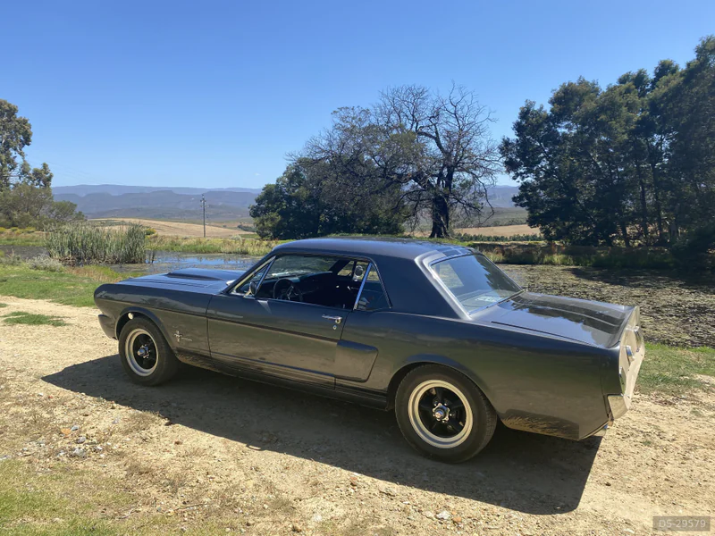 1966 Ford Mustang in Cape Town 4