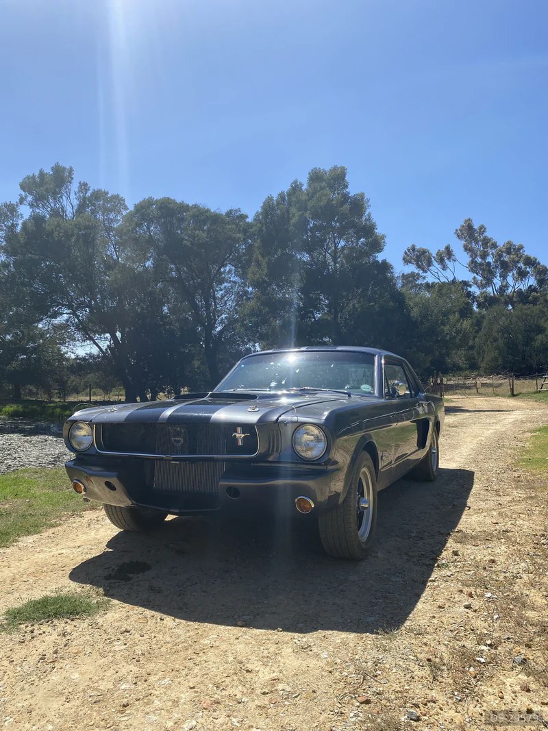 1966 Ford Mustang in Cape Town 7