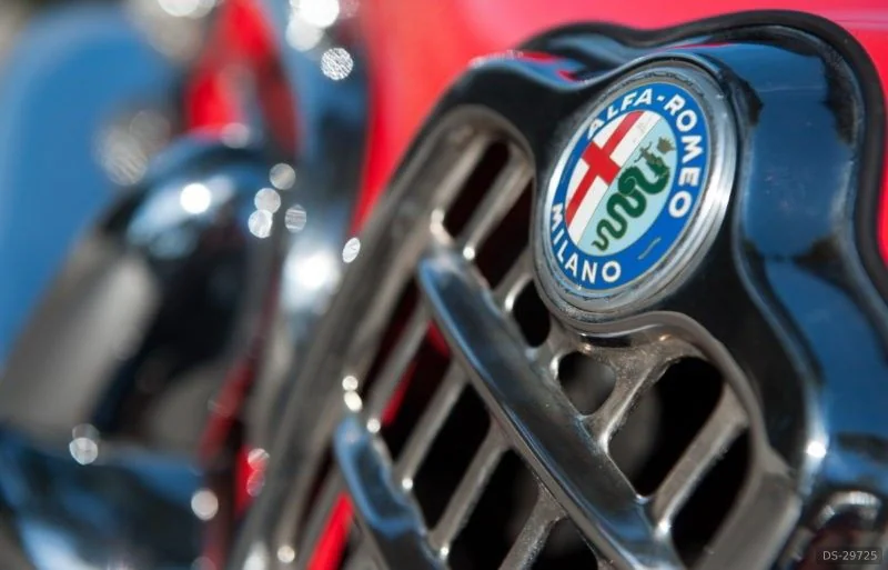 1962 Alfa Romeo Spider Giulia in Nice 9
