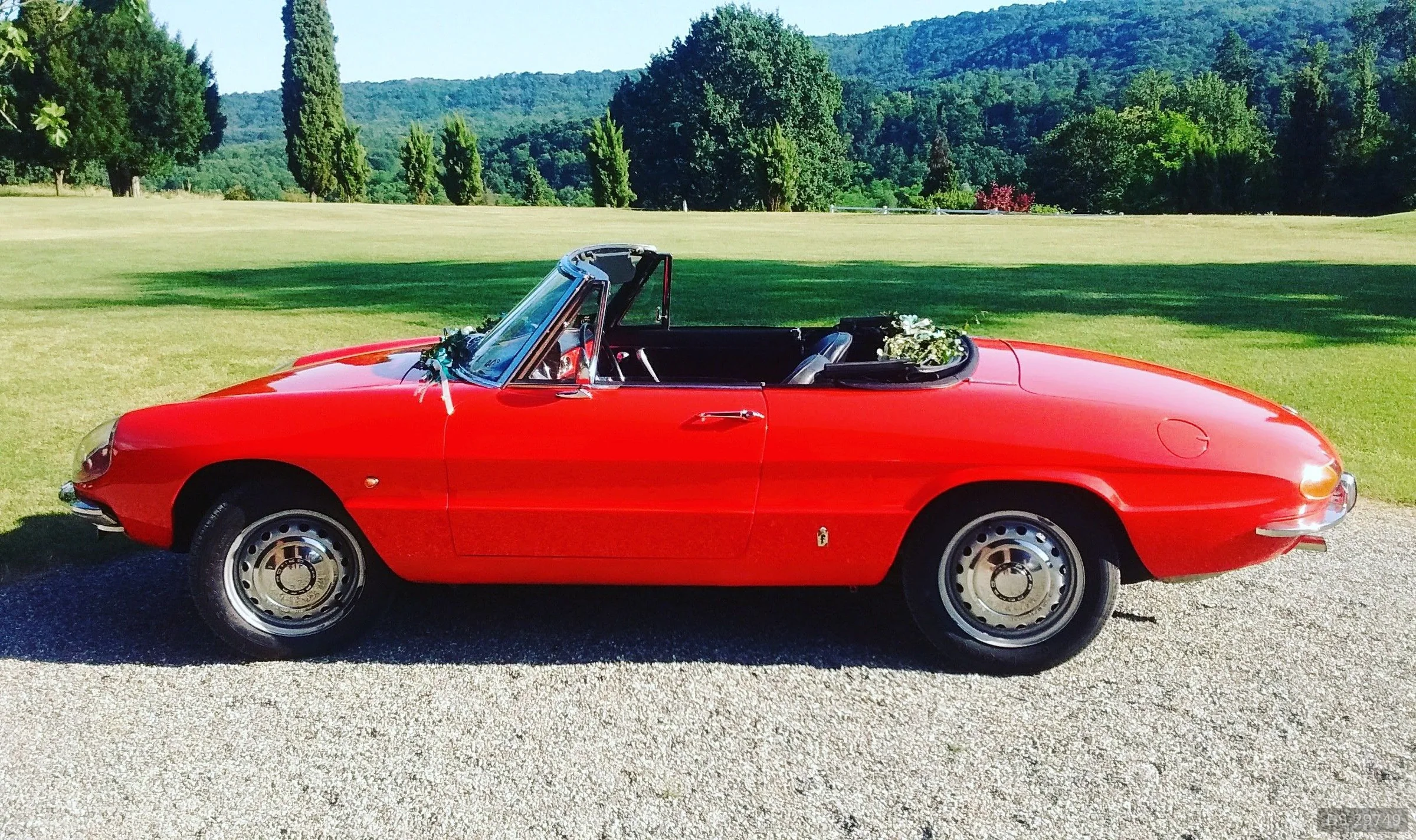 1966 Alfa Romeo Giulia Spider Duetto 1600