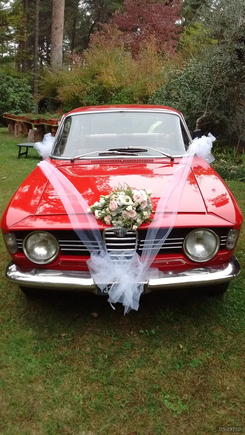 1966 Alfa Romeo Giulia Gt 1600 VELOCE in Borgomanero 5