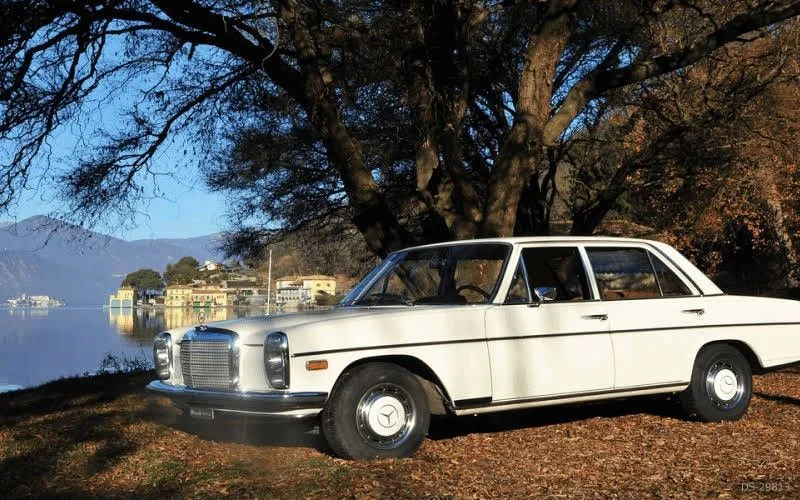 1973 Mercedes-Benz 220 Berlina