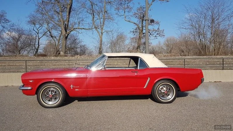 1965 Ford Mustang V8 in Wintzenheim 3