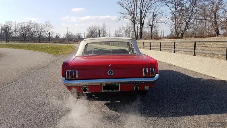 1965 Ford Mustang V8 in Wintzenheim 4