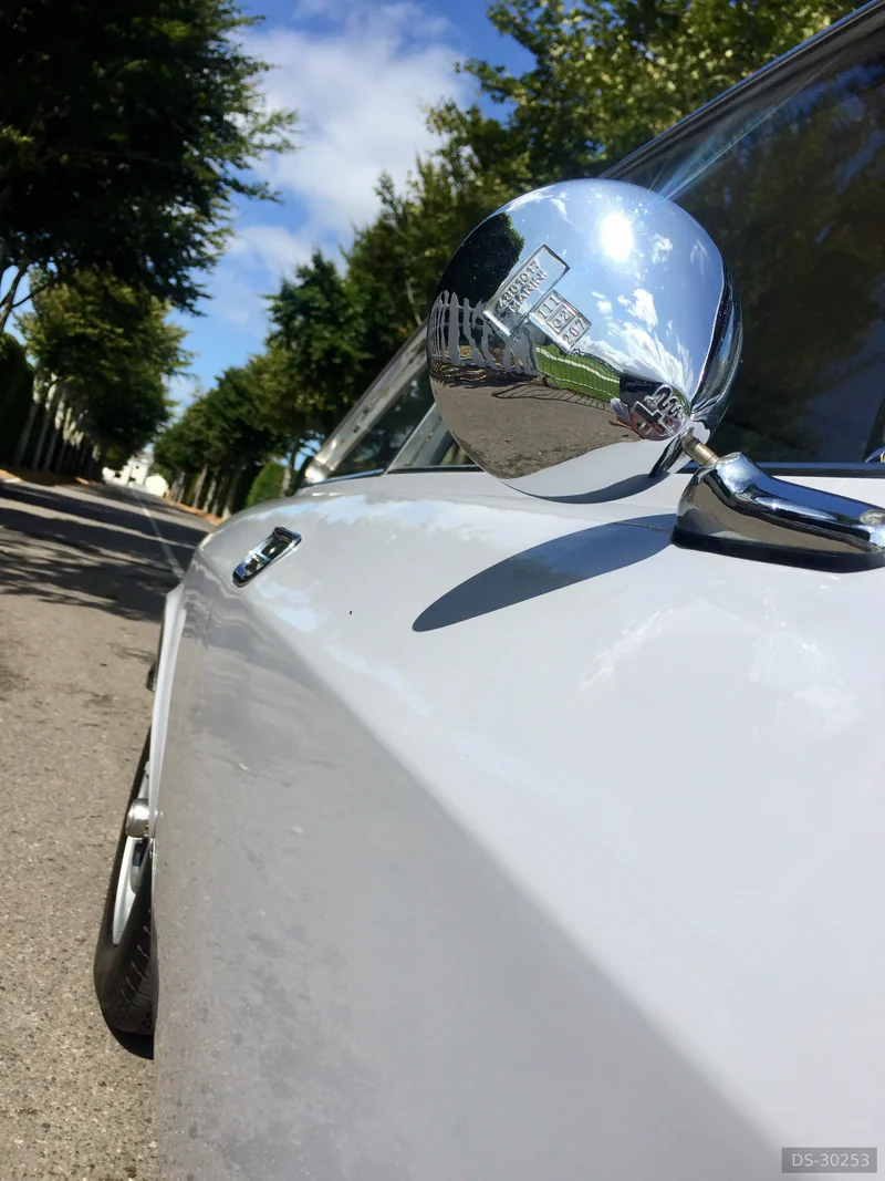 1972 Alfa Romeo Gt 1600 Junior in Chichester 4