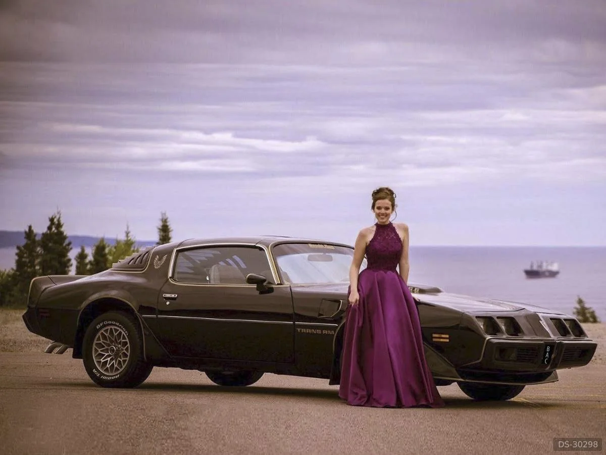 1979 Pontiac Firebird  Trans Am  6.6  V8